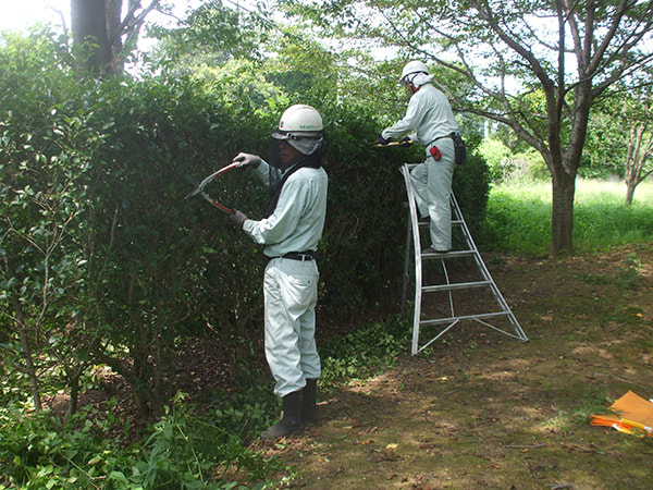 都市緑地サービス｜造園施工管理｜ひたちなか市