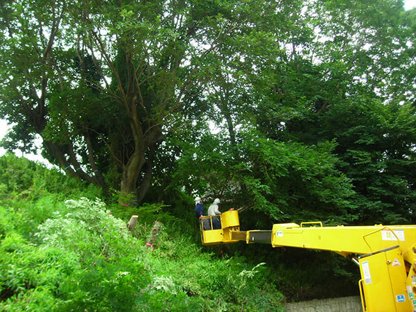 都市緑地サービス｜造園施工管理｜ひたちなか市