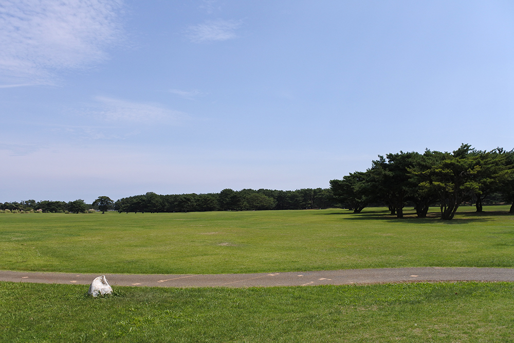 都市緑地サービス｜ひたち海浜公園