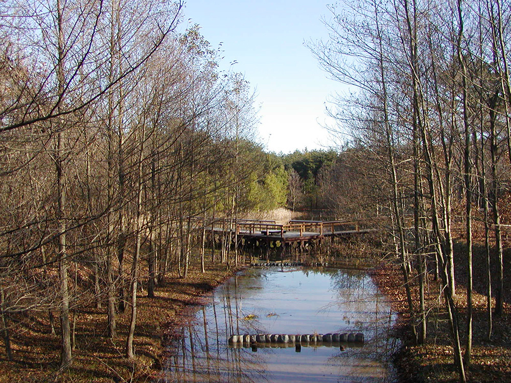 都市緑地サービス｜ひたち海浜公園｜維持管理