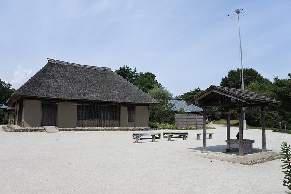 都市緑地サービス｜ひたち海浜公園｜維持管理