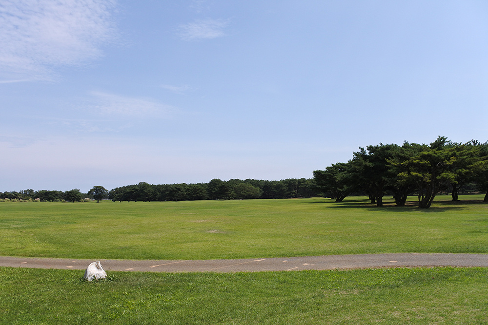 都市緑地サービス｜ひたち海浜公園｜維持管理
