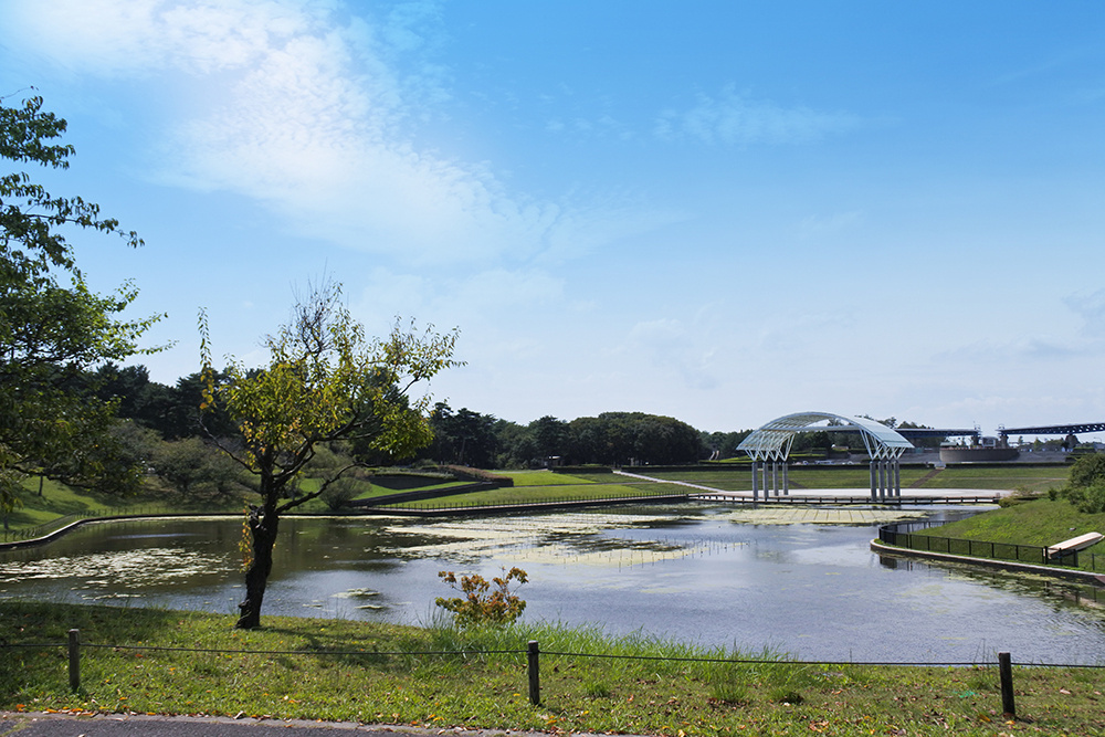 都市緑地サービス｜ひたち海浜公園｜維持管理